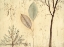 Picture of LYRICAL BRANCHES III