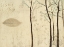 Picture of LYRICAL BRANCHES IV