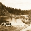 Picture of MOUNTAIN LAKE