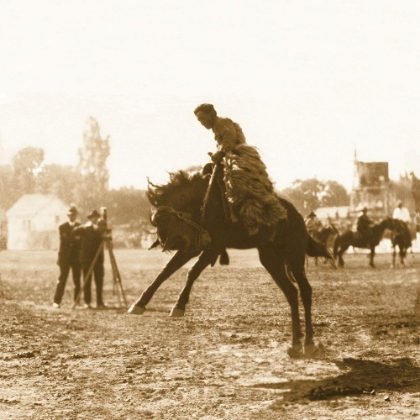 Picture of BUCKING BRONCO