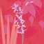 Picture of IN BLOOM II