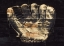 Picture of BASEBALL GLOVE