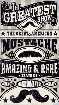 Picture of CIRCUS MUSTACHE