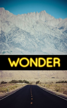 Picture of WONDER A
