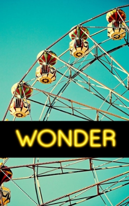Picture of WONDER C