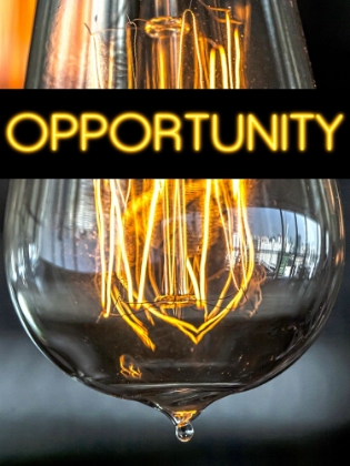 Picture of OPPORTUNITY