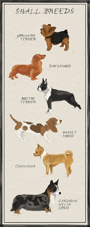 Picture of SMALL BREEDS