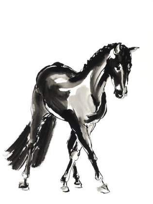 Picture of HORSE V5