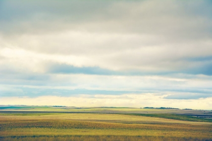 Picture of FARMLAND PLAINS