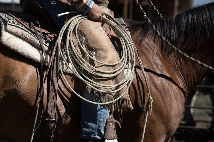 Picture of SIERRA STYLE