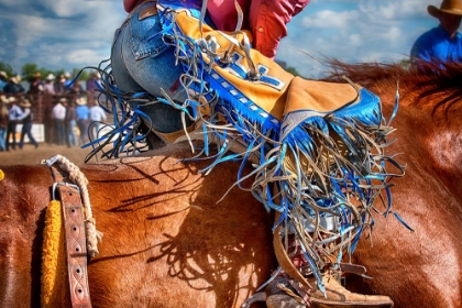 Picture of THE BRONC RIDER