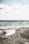 Picture of COASTAL I