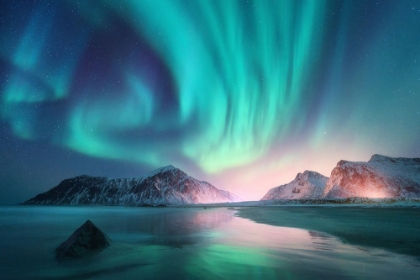 Picture of NORTHERN LIGHTS