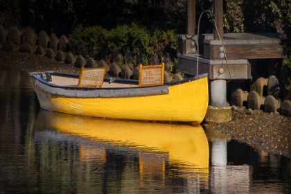 Picture of YELLOW CANOE