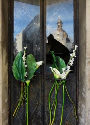 Picture of GIANT LILLIES