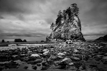 Picture of PINNACLE