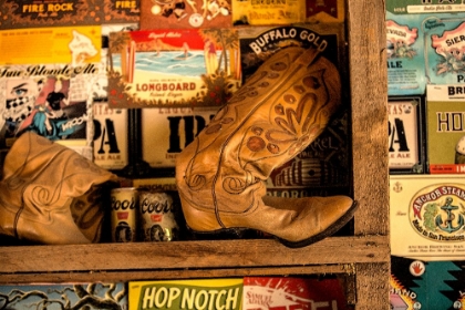 Picture of BEER AND A BOOT