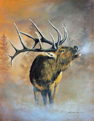 Picture of ELK CALL