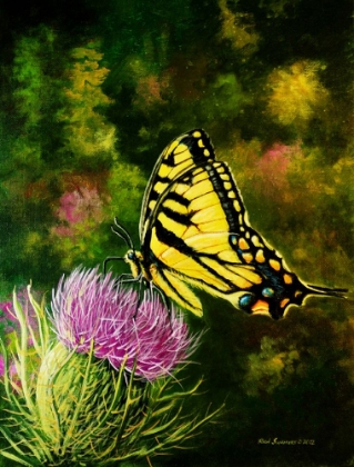 Picture of BUTTERFLY