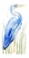 Picture of BLUE WATERCOLOR HERON II
