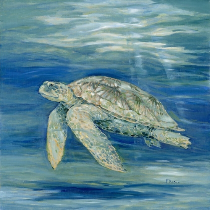 Picture of BLUE LAGOON TURTLE