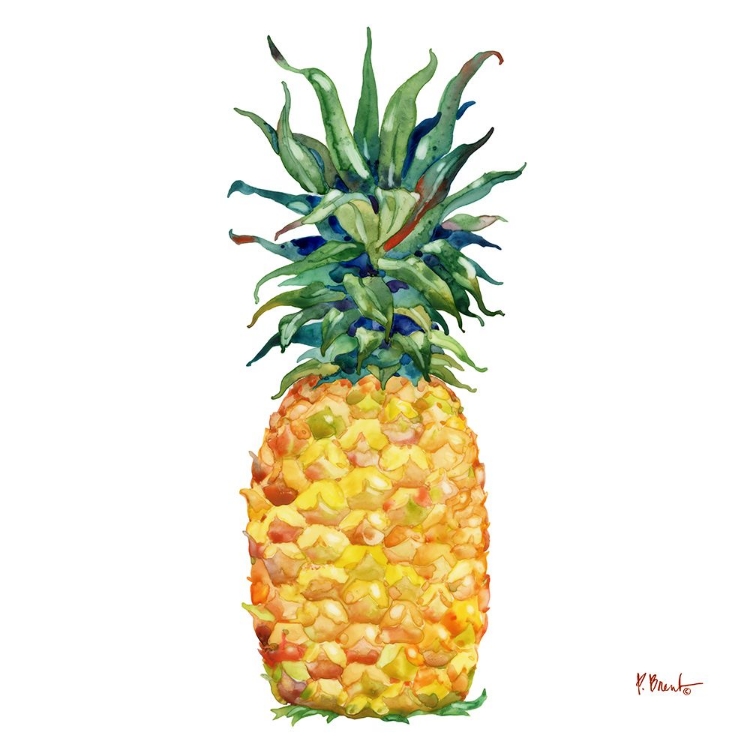 Picture of KONA PINEAPPLE I