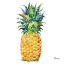 Picture of KONA PINEAPPLE II