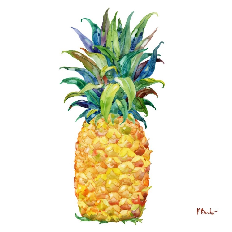 Picture of KONA PINEAPPLE II