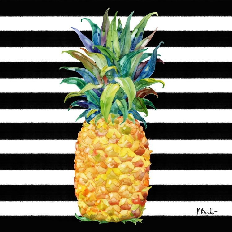 Picture of KONA PINEAPPLE II - BLACK STRIPE