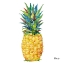 Picture of KONA PINEAPPLE III