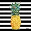 Picture of KONA PINEAPPLE IV - BLACK STRIPE