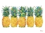 Picture of KONA PINEAPPLE HORIZONTAL