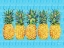 Picture of KONA PINEAPPLE HORIZONTAL - AZUL LINES