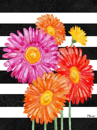 Picture of HELENA DAISIES VERTICAL