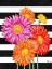 Picture of HELENA DAISIES VERTICAL