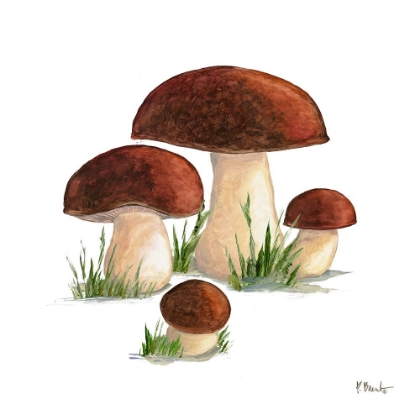 Picture of MUSHROOM PATCH I
