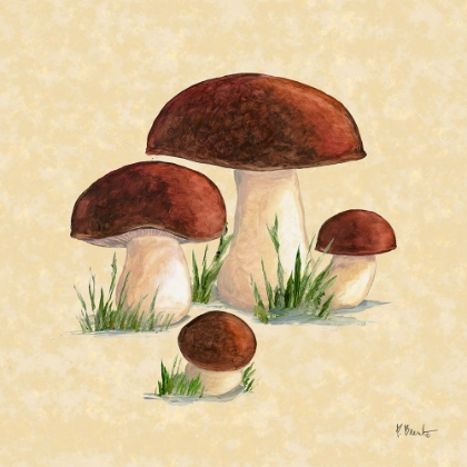Picture of MUSHROOM PATCH I - PARCHMENT