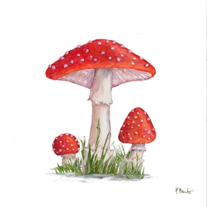 Picture of MUSHROOM PATCH II
