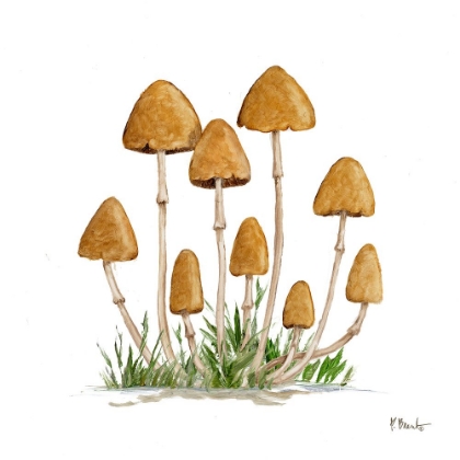 Picture of MUSHROOM PATCH III