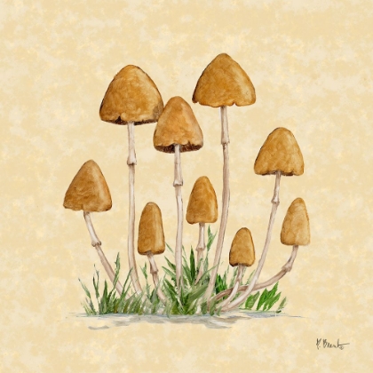 Picture of MUSHROOM PATCH III - PARCHMENT