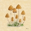Picture of MUSHROOM PATCH III - PARCHMENT
