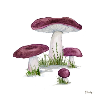Picture of MUSHROOM PATCH IV
