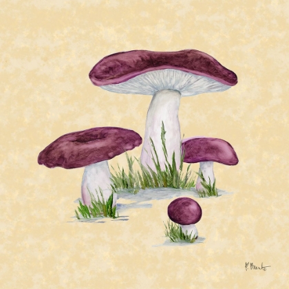 Picture of MUSHROOM PATCH IV - PARCHMENT