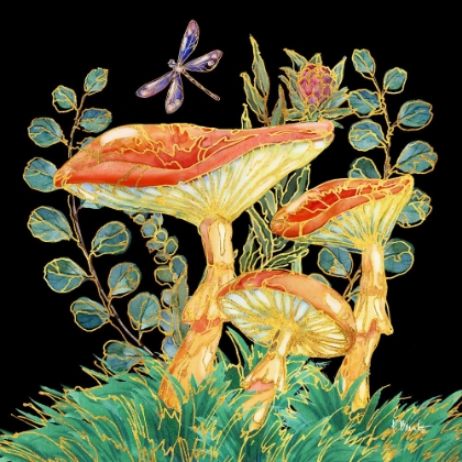 Picture of FAR OUT MUSHROOMS IV