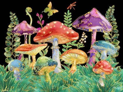 Picture of FAR OUT MUSHROOMS HORIZONTAL