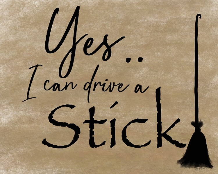 Picture of I CAN DRIVE A STICK