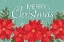 Picture of MERRY CHRISTMAS POINSETTIAS II