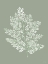Picture of SHADES OF GREEN I