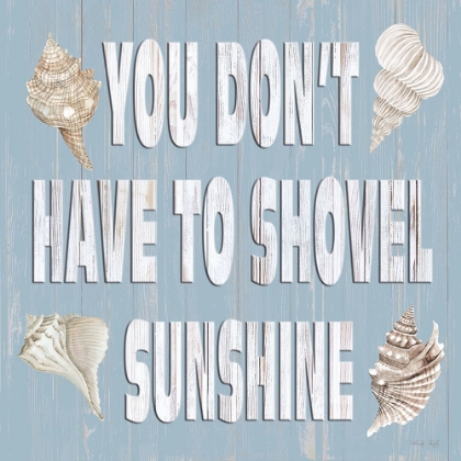Picture of YOU DONT HAVE TO SHOVEL SUNSHINE