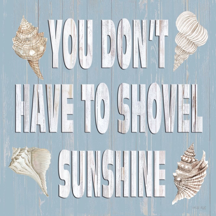 Picture of YOU DONT HAVE TO SHOVEL SUNSHINE